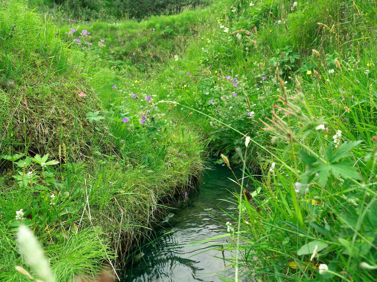 Hrifunes Nature Park المظهر الخارجي الصورة